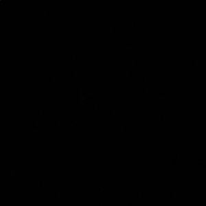 Meet your Posher, Lonny